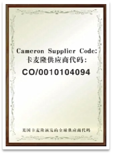 cameron best supplier award