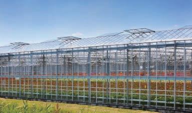 manufacturing plants